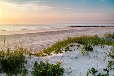 Florida Gündoğumu Kumsal manzarası