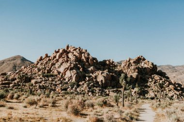Joshua Tree Ulusal Parkı 'nda açık gökyüzü altında Rocky çöl yolu