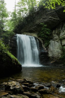Looking Glass Falls önplanda kayalık akıntıya yakın görüntülendi