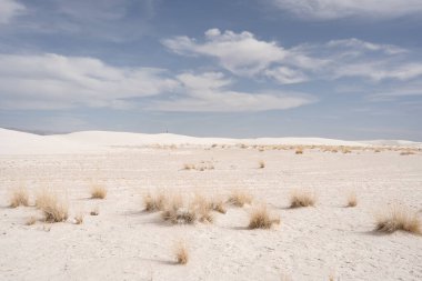 New Mexico 'daki White Sands Ulusal Parkı manzarası