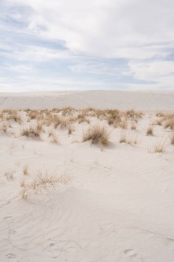 New Mexico 'daki White Sands Ulusal Parkı manzarası