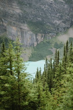 Louise Gölü manzaralı, çam ağaçları ve kayalık uçurumlar.
