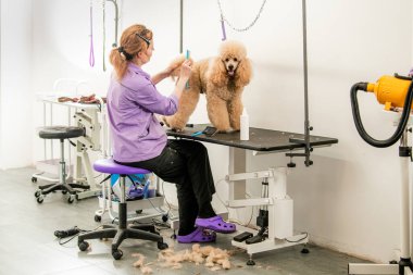 Mutlu Kaniş 'le Profesyonel Köpek Bakımı