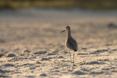 Sıcak kumlu yolda dikkatli bir şekilde yürürken uzaklara bakıyorum.