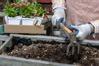 Arkasında yatak bitkileri olan ahşap tarla kutusunda çalışan toprak.