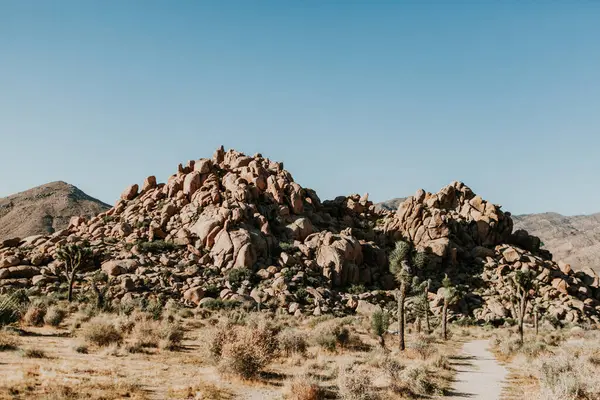 Joshua Tree Ulusal Parkı 'nda açık gökyüzü altında Rocky çöl yolu