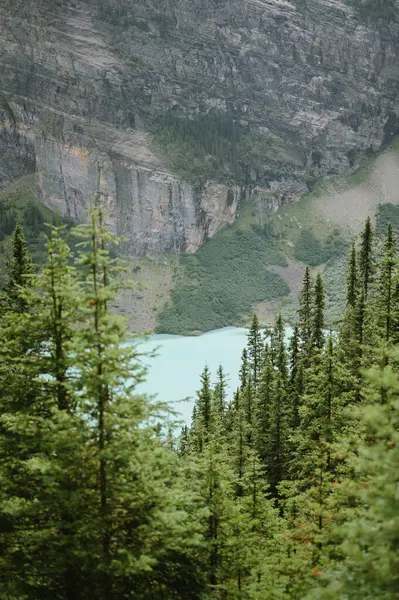 Louise Gölü manzaralı, çam ağaçları ve kayalık uçurumlar.