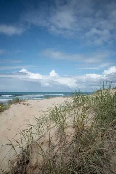 Kum tepeciklerindeki Spinifex otları sahili kıyı erozyonundan korur.