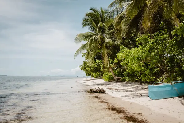 Yaz tatili boyunca palmiye ağaçları ve mavi botlu plaj