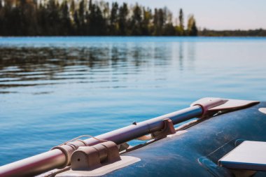 Nehirde kürek çeken bir tekne.