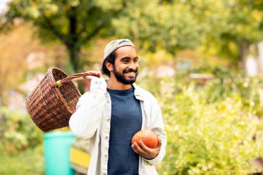 Bahçede balkabağı hasat eden sepetli genç adam.