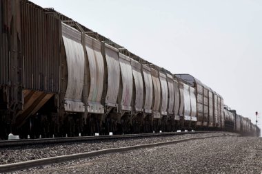Yük treni uzaktaki ufka doğru gidiyor.