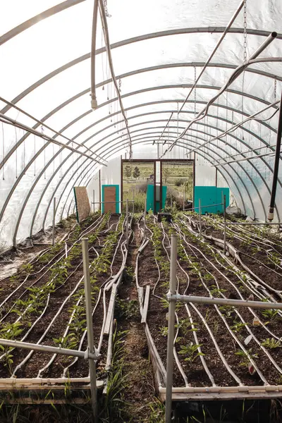 Damla sulama ile ahşap ev serası