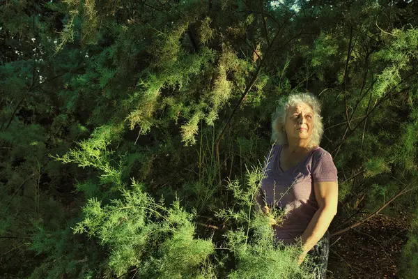 Kıdemli kadın yemyeşil orman ışığında duruyor..