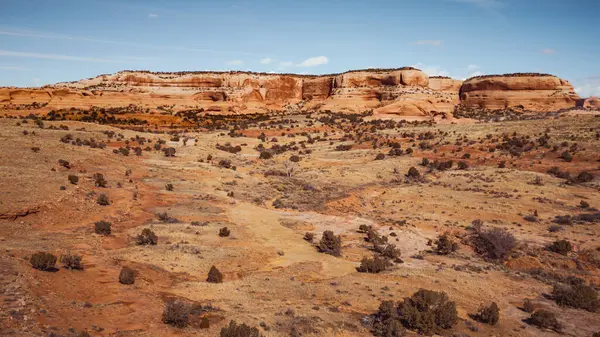 Katmanlı kırmızı kaya tepeciği ve açık mavi gökyüzünün altındaki çöl fundalığı