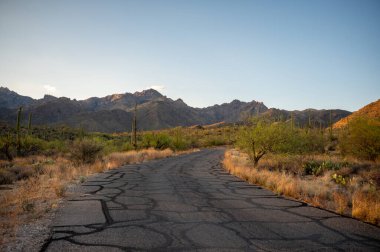 Akşam karanlığında Saguaro Çölü 'nde dolambaçlı yol