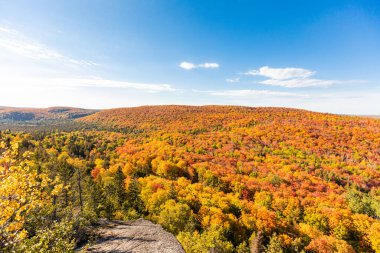 Geniş sonbahar ormanı parlayan mavi gökyüzünün altında.