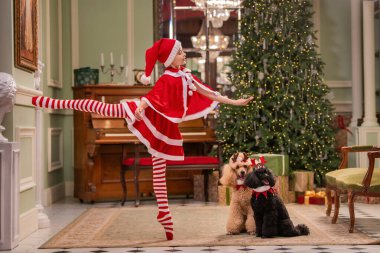 Kız, iki süslü kanişiyle Noel Baba kostümüyle bale yapıyor.