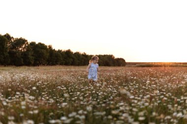 Kız papatya tarlasında koşuyor, başka tarafa bakıyor.