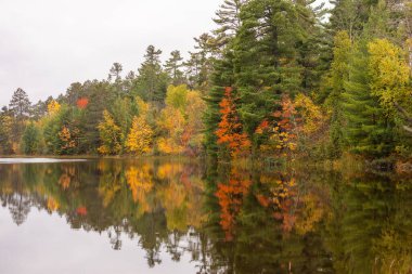 Güz ormanı bulutlu bir günde sakin göle yansıyor.