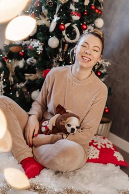 Kadın ve Chihuahua rahat bir Noel ortamında