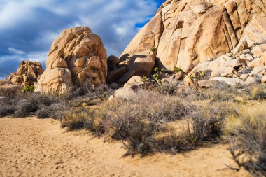 Sıcak güneş ışığı yuvarlak kayaları ve dikenli çöl planını aydınlatır.
