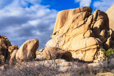 Joshua Tree Nati 'de güneşli altın kayalar ve çıplak çöl fırçası.