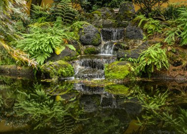 Bahçedeki yemyeşil yemyeşil sularla çevrili sakin bir yer.