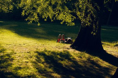 Genç çift güneşli bir parkta büyük bir ağacın altında dinleniyor.