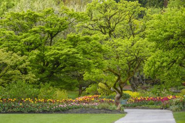 Çiçeklerle dolu canlı bir bahar bahçesi.