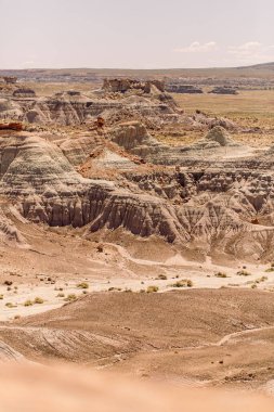 Taşlaşmış Orman Ulusal Parkı Renkli Çorak Topraklar