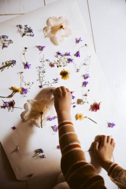 Beyaz kağıt üzerinde renkli çiçekler düzenleyen çocuk.