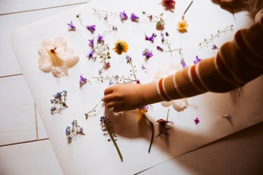 Beyaz kağıt üzerinde renkli çiçekler düzenleyen çocuk.