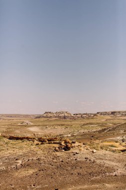 Arizona 'daki boyalı çölde taşlaşmış odun kütükleri.