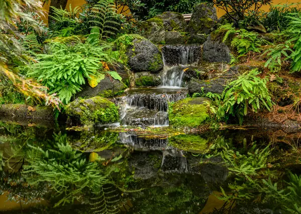 Bahçedeki yemyeşil yemyeşil sularla çevrili sakin bir yer.
