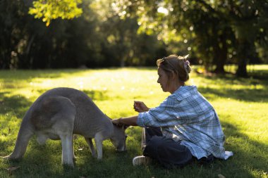 Altın ışığın altında kanguru ile nazikçe çarpışan kadın