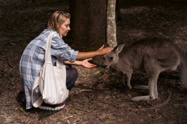 Avustralya Orman Tapınağı 'nda kanguru besleyen genç bir kadın