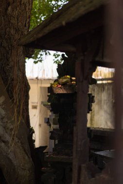 Güneş ışığının filtrelediği Bali tapınağı adağı