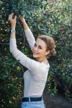 Kiraz ağacından olgun kırmızı kirazları toplayan bir kadın.