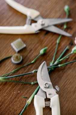 Bir Sanatçının Masası: Ikebana Araçları