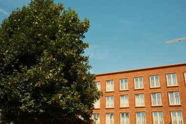 Vinçli ve yemyeşil ağaçlı inşaat alanı