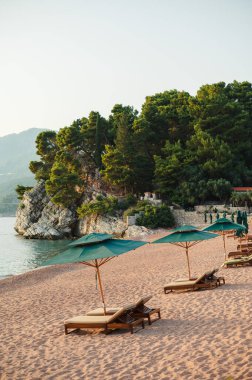 Serene Sahili, güneş pansiyonları ve yeşil şemsiyeli.