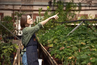 Serada çalışan işçiler bitkilere doğru hareket ederken bir şeyi açıklıyorlar.