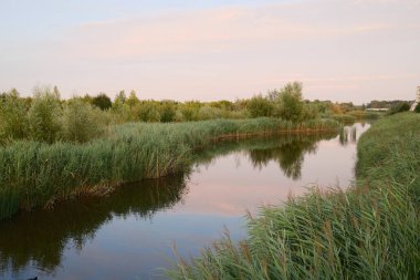 Gün batımında yeşil bitki örtüsünden akan sakin bir nehir.