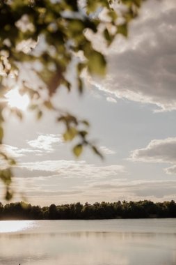 Yumuşak altın güneş ışığı altında sevimli kumlu göl kıyıları