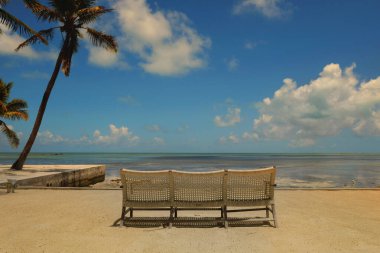 Mavi su gökyüzü palmiye ağaçları Florida Keys tatil köyü