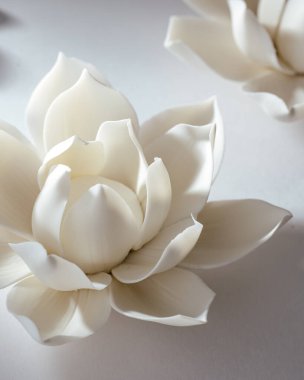 Tütsü beyaz nilüfer şeklinde duruyor..