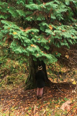 Ormandaki büyük yeşil ağacın altında duran bereli bir adam.