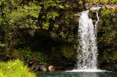 Sersemletici Şelale Hana, Maui, Hawaii yolu boyunca çağlıyor.