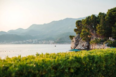 Lush Green ve Rocky Cliffs ile Sahne Kıyı Manzarası